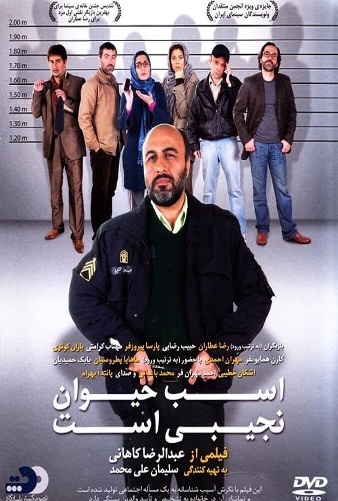 دانلود فیلم اسب حیوان نجیبی است 2011