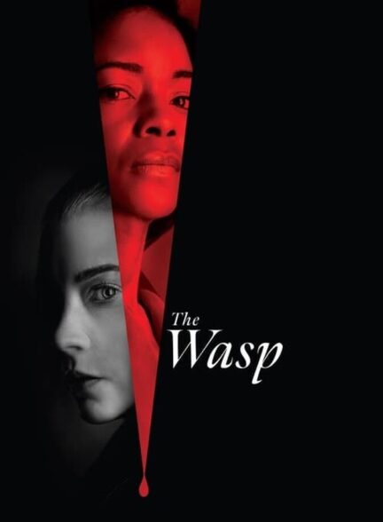 دانلود فیلم زنبور